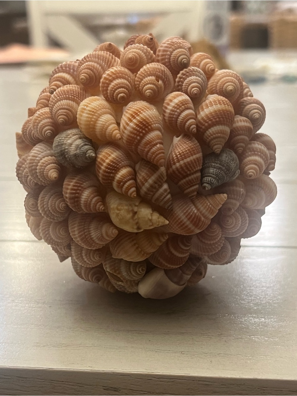 Decorative Clustered Seashell Sphere Coastal Beach Decor